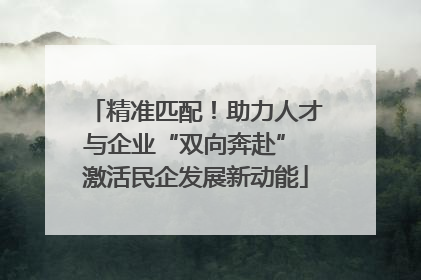 精准匹配！助力人才与企业“双向奔赴” 激活民企发展新动能