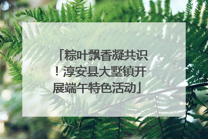 粽叶飘香凝共识！淳安县大墅镇开展端午特色活动