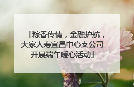 粽香传情，金融护航，大家人寿宜昌中心支公司开展端午暖心活动