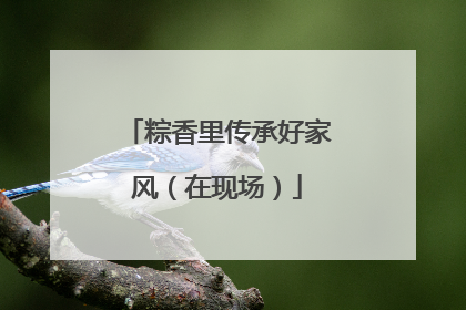 粽香里传承好家风（在现场）