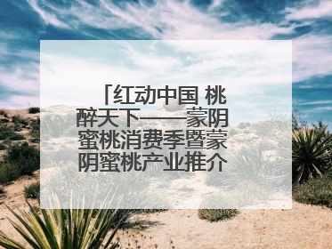 红动中国 桃醉天下——蒙阴蜜桃消费季暨蒙阴蜜桃产业推介会成功举办