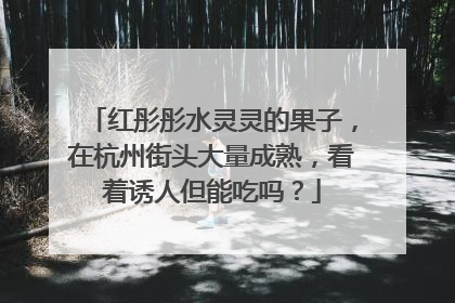 红彤彤水灵灵的果子，在杭州街头大量成熟，看着诱人但能吃吗？