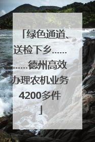 绿色通道、送检下乡…………德州高效办理农机业务4200多件