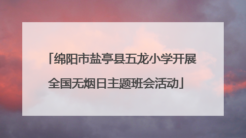 绵阳市盐亭县五龙小学开展全国无烟日主题班会活动