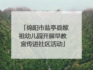 绵阳市盐亭县嫘祖幼儿园开展早教宣传进社区活动