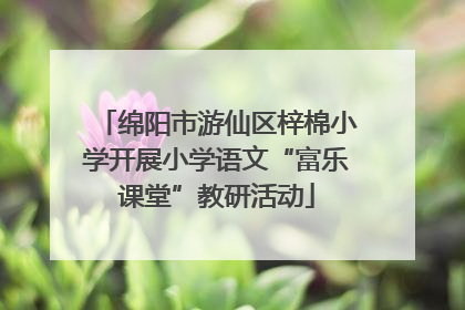 绵阳市游仙区梓棉小学开展小学语文“富乐课堂”教研活动