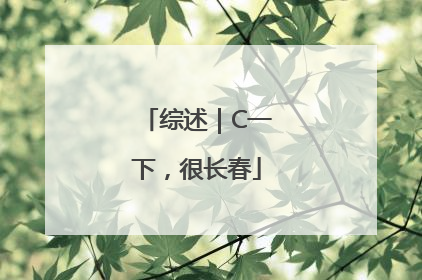 综述｜C一下，很长春