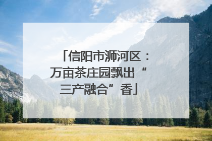 信阳市浉河区：万亩茶庄园飘出“三产融合”香