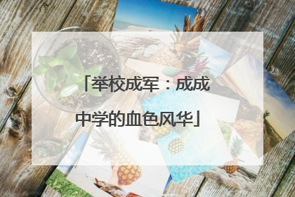 举校成军：成成中学的血色风华