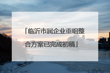 临沂市属企业重组整合方案已完成初稿