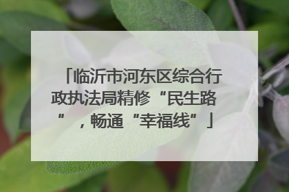 临沂市河东区综合行政执法局精修“民生路”，畅通“幸福线”