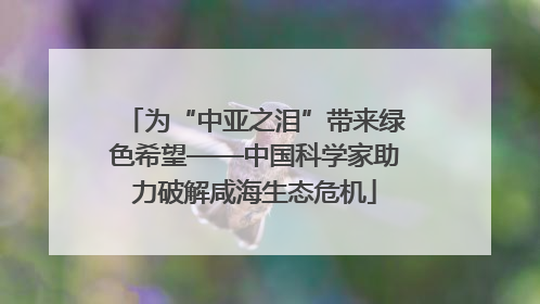 为“中亚之泪”带来绿色希望——中国科学家助力破解咸海生态危机