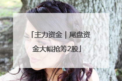 主力资金｜尾盘资金大幅抢筹2股