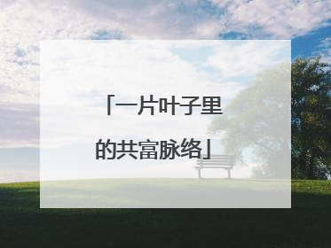 一片叶子里的共富脉络