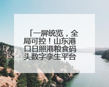 一屏统览，全局可控！山东港口日照港粮食码头数字孪生平台上线