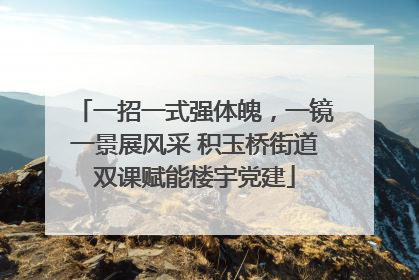 一招一式强体魄，一镜一景展风采 积玉桥街道双课赋能楼宇党建
