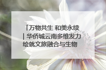 万物共生 和美永续｜华侨城云南多维发力 绘就文旅融合与生物多样性保护新图景