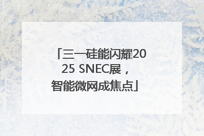 三一硅能闪耀2025 SNEC展，智能微网成焦点