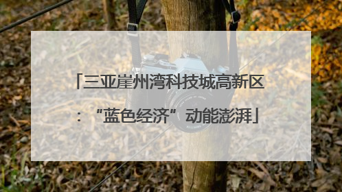 三亚崖州湾科技城高新区：“蓝色经济”动能澎湃
