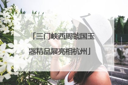 三门峡西周虢国玉器精品展亮相杭州