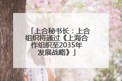 上合秘书长：上合组织将通过《上海合作组织至2035年发展战略》