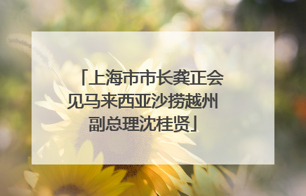 上海市市长龚正会见马来西亚沙捞越州副总理沈桂贤