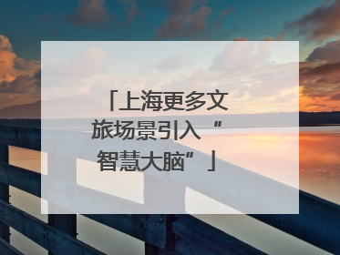 上海更多文旅场景引入“智慧大脑”