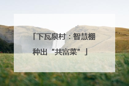 下瓦泉村：智慧棚种出“共富菜”