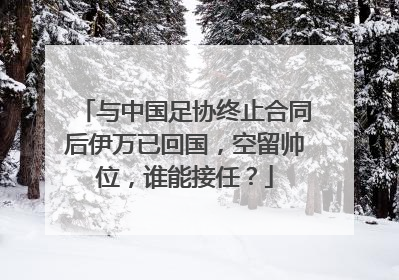 与中国足协终止合同后伊万已回国，空留帅位，谁能接任？