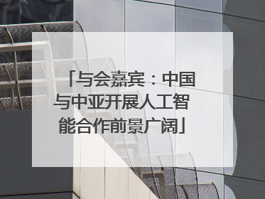 与会嘉宾：中国与中亚开展人工智能合作前景广阔