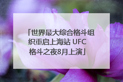 世界最大综合格斗组织重启上海站 UFC格斗之夜8月上演