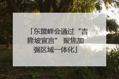 东盟峰会通过“吉隆坡宣言” 聚焦加强区域一体化