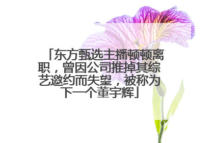 东方甄选主播顿顿离职，曾因公司推掉其综艺邀约而失望，被称为下一个董宇辉