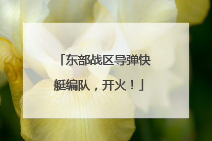 东部战区导弹快艇编队，开火！