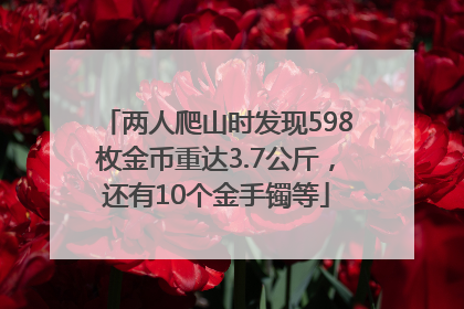 两人爬山时发现598枚金币重达3.7公斤，还有10个金手镯等