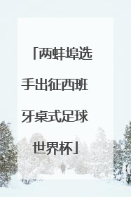 两蚌埠选手出征西班牙桌式足球世界杯