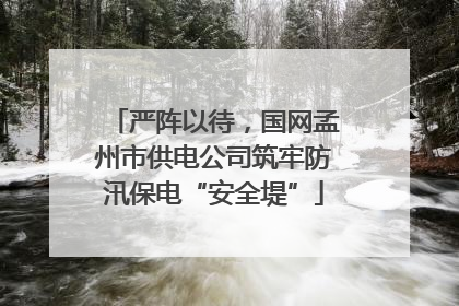 严阵以待，国网孟州市供电公司筑牢防汛保电“安全堤”