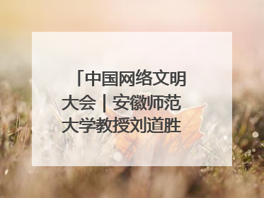 中国网络文明大会｜安徽师范大学教授刘道胜：“E”览徽风，构筑中华民族共有精神家园