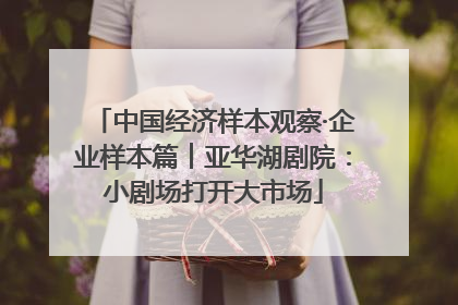 中国经济样本观察·企业样本篇︱亚华湖剧院：小剧场打开大市场