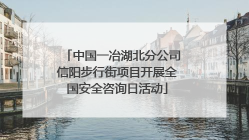 中国一冶湖北分公司信阳步行街项目开展全国安全咨询日活动