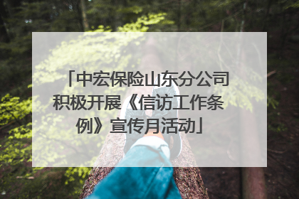 中宏保险山东分公司积极开展《信访工作条例》宣传月活动