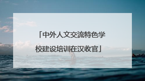 中外人文交流特色学校建设培训在汉收官