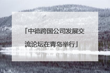 中德跨国公司发展交流论坛在青岛举行