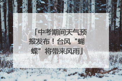 中考期间天气预报发布！台风“蝴蝶”将带来风雨