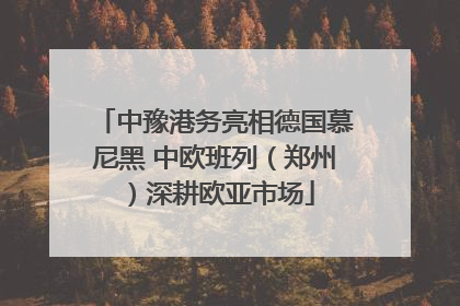 中豫港务亮相德国慕尼黑 中欧班列（郑州）深耕欧亚市场