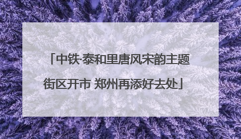 中铁·泰和里唐风宋韵主题街区开市 郑州再添好去处