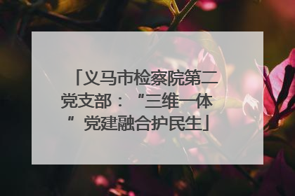 义马市检察院第二党支部：“三维一体”党建融合护民生