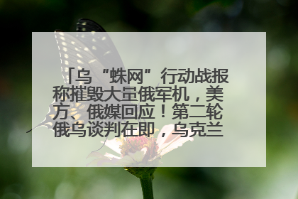 乌“蛛网”行动战报称摧毁大量俄军机，美方、俄媒回应！第二轮俄乌谈判在即，乌克兰提出三大诉求