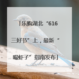 乐购湖北“616三好节”上，最新“嘬虾子”指南发布