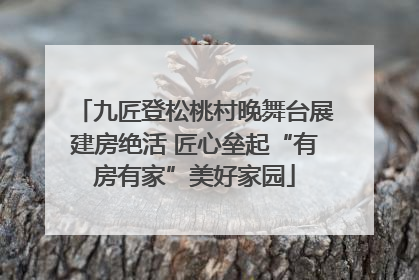 九匠登松桃村晚舞台展建房绝活 匠心垒起“有房有家”美好家园